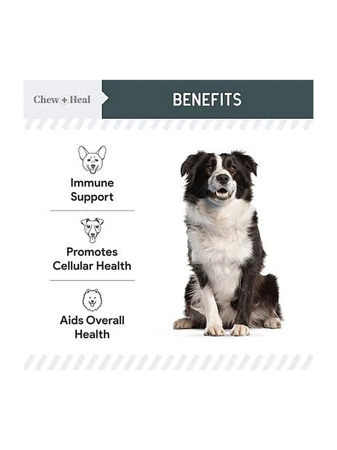 Chew + Heal Immune Support Mushroom Complex Soft Chews Supplement for Dogs, 90 count