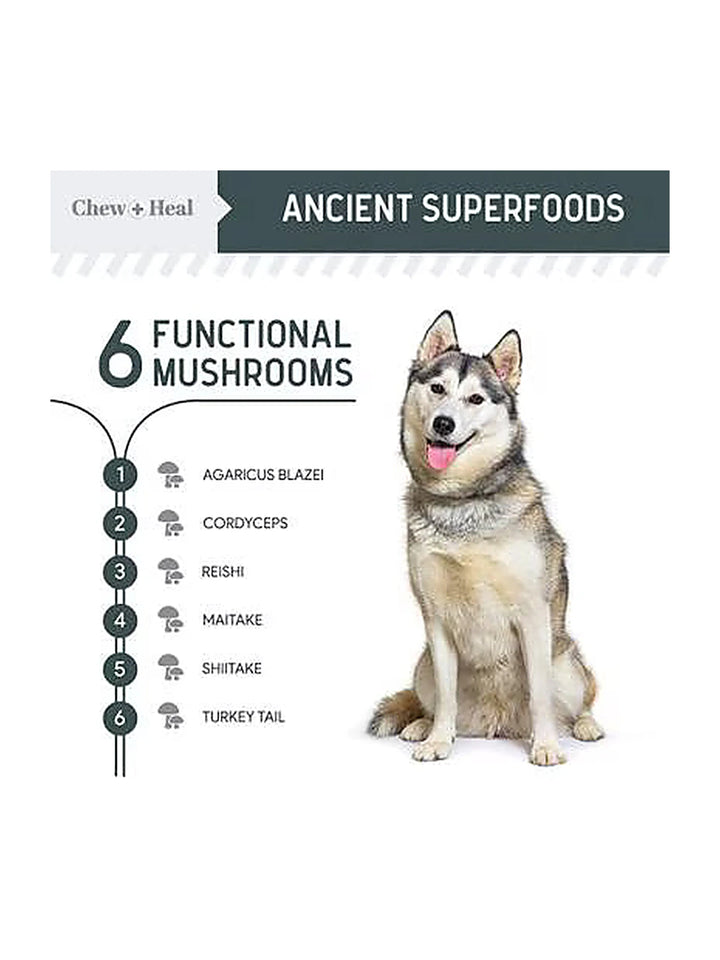 Chew + Heal Immune Support Mushroom Complex Soft Chews Supplement for Dogs, 90 count