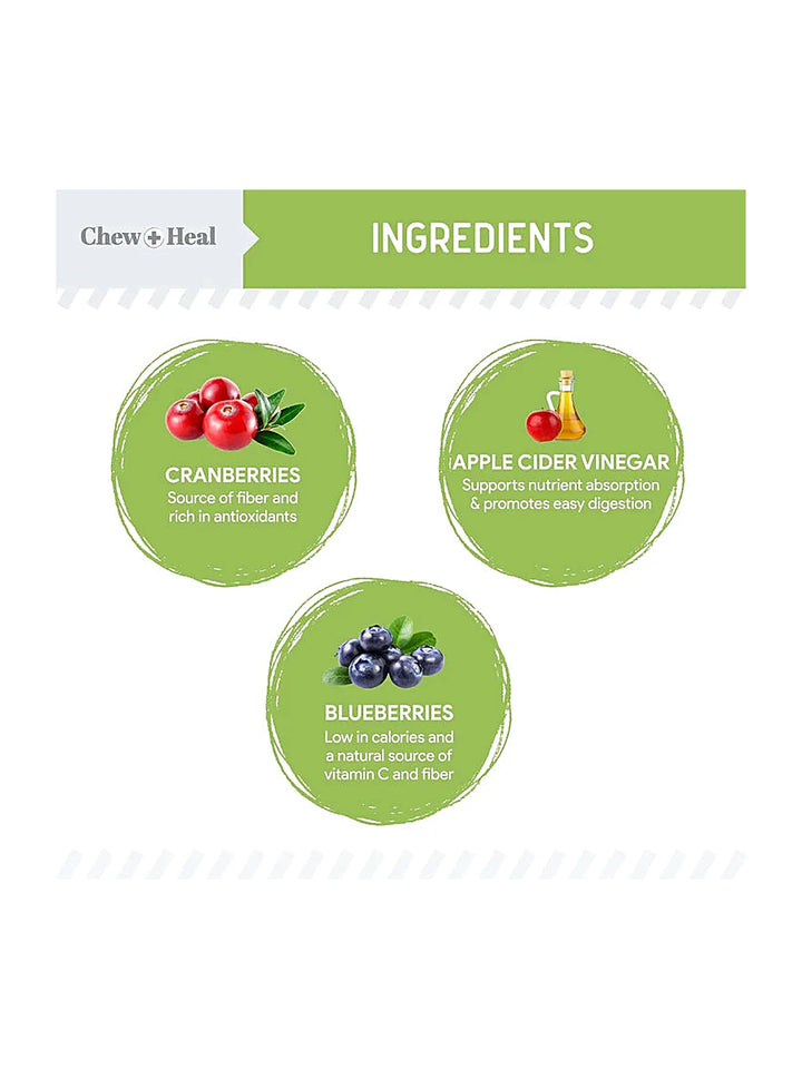 Chew + Heal Limited Ingredient Low Calorie Fruit & Veggie Superfoods Soft Jerky Dog Treats