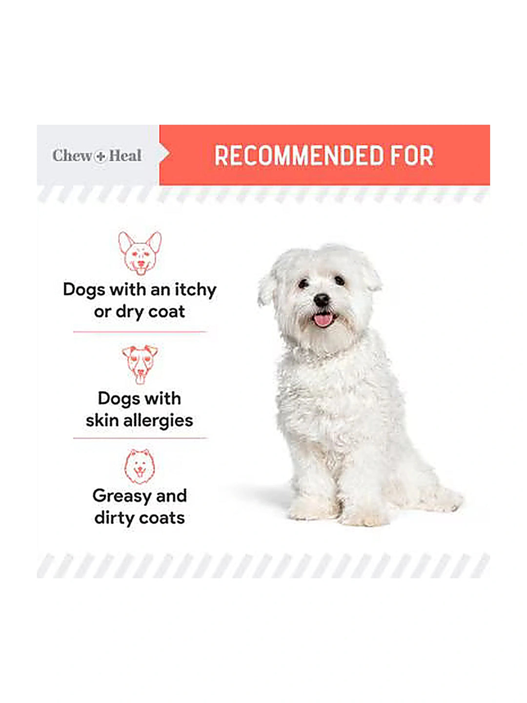 Chew + Heal MSC-Certified Pure Wild-Caught Alaskan Salmon Oil Skin & Coat Supplement for Dogs 8 oz