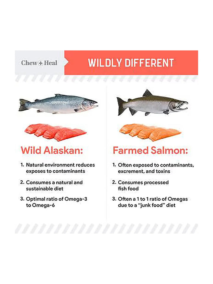 Chew + Heal MSC-Certified Pure Wild-Caught Alaskan Salmon Oil Skin & Coat Supplement for Dogs 8 oz