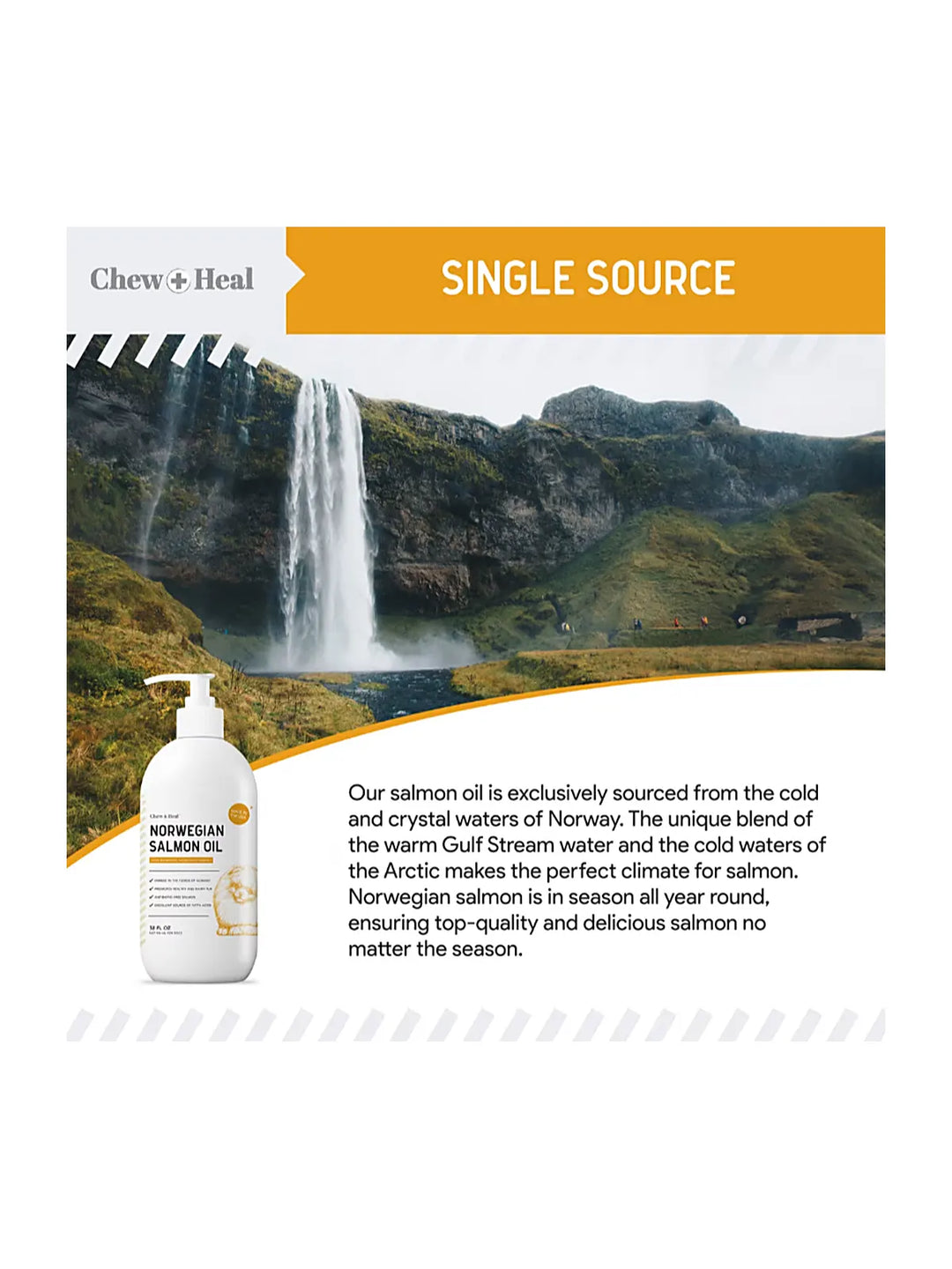 Chew + Heal Norwegian Salmon Oil Skin & Coat Supplement for Dogs & Cats, 64-fl oz bottle