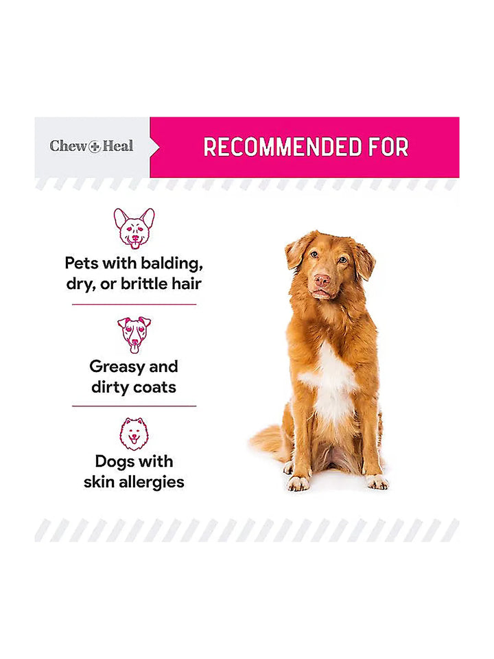 Chew + Heal Omega Skin + Coat with Flaxseed, Kelp & Omegas Powder Supplement for Dogs