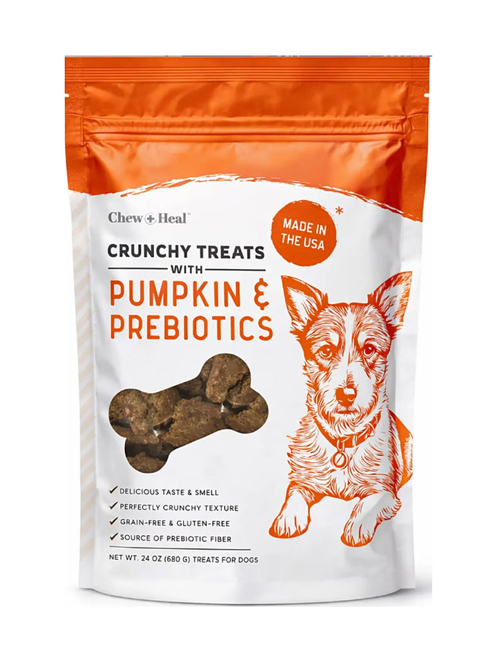 Chew + Heal Pumpkin & Prebiotic Fiber Crunchy Biscuit Dog Treats, 24-oz bag