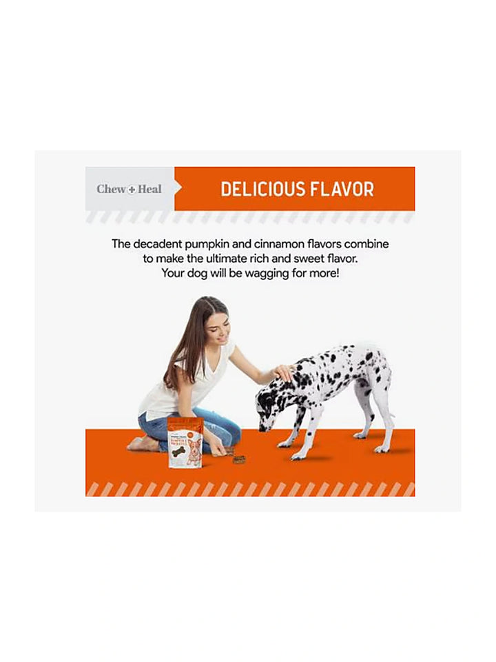Chew + Heal Pumpkin & Prebiotic Fiber Crunchy Biscuit Dog Treats, 24-oz bag