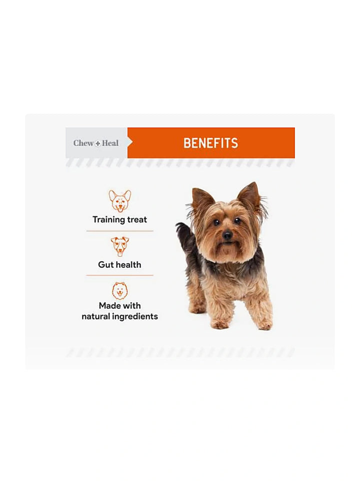 Chew + Heal Pumpkin & Prebiotic Fiber Crunchy Biscuit Dog Treats, 24-oz bag
