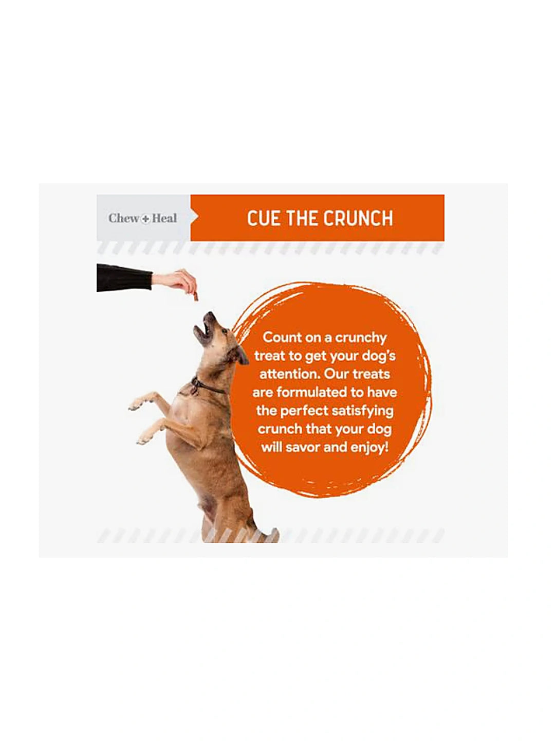 Chew + Heal Pumpkin & Prebiotic Fiber Crunchy Biscuit Dog Treats, 24-oz bag
