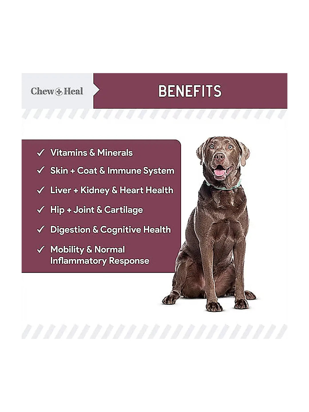 Chew + Heal Senior 12-In-1 Advanced Multivitamin Soft Chews Supplement for Senior Dogs, 120 count