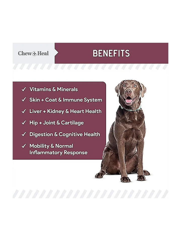 Chew + Heal Senior 12-In-1 Advanced Multivitamin Soft Chews Supplement for Senior Dogs, 120 count