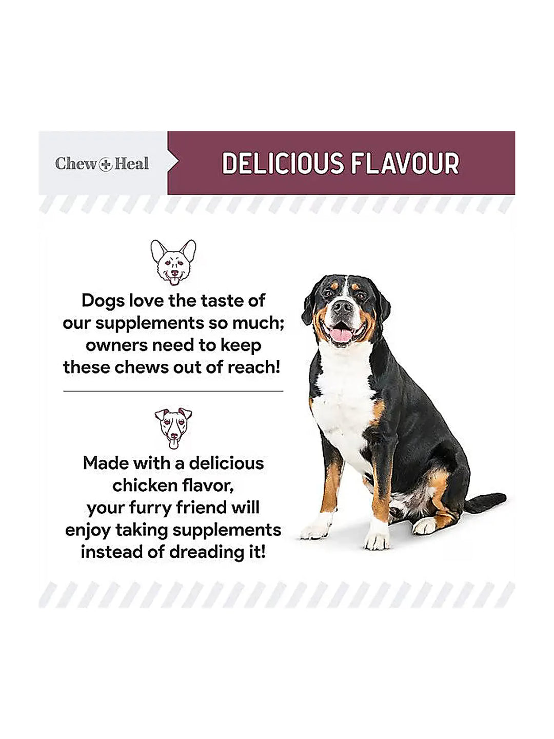 Chew + Heal Senior 12-In-1 Advanced Multivitamin Soft Chews Supplement for Senior Dogs, 120 count
