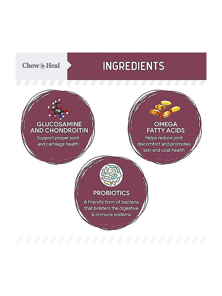 Chew + Heal Senior 12-In-1 Advanced Multivitamin Soft Chews Supplement for Senior Dogs, 120 count