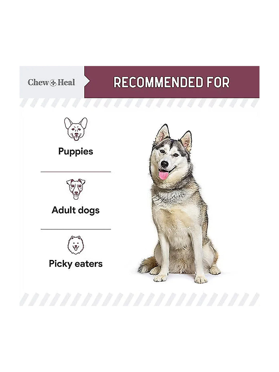 Chew + Heal Senior 12-In-1 Advanced Multivitamin Soft Chews Supplement for Senior Dogs, 120 count