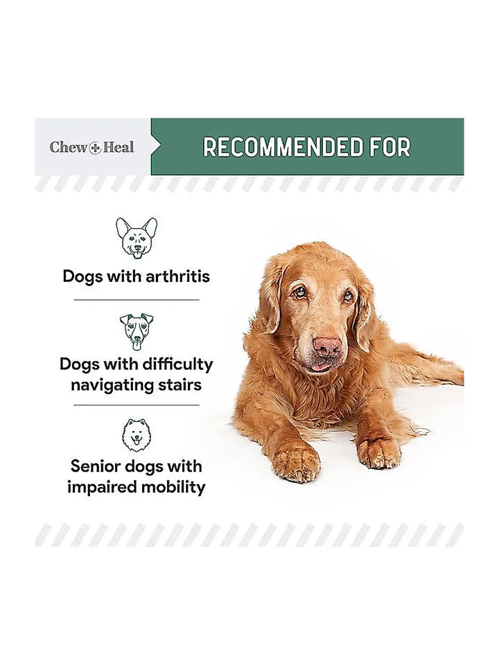 Chew + Heal Senior Hip & Joint Dog Supplement