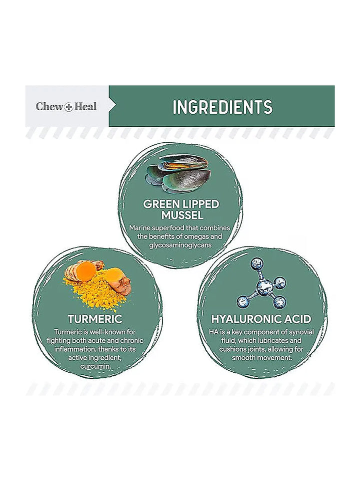 Chew + Heal Senior Hip & Joint Dog Supplement