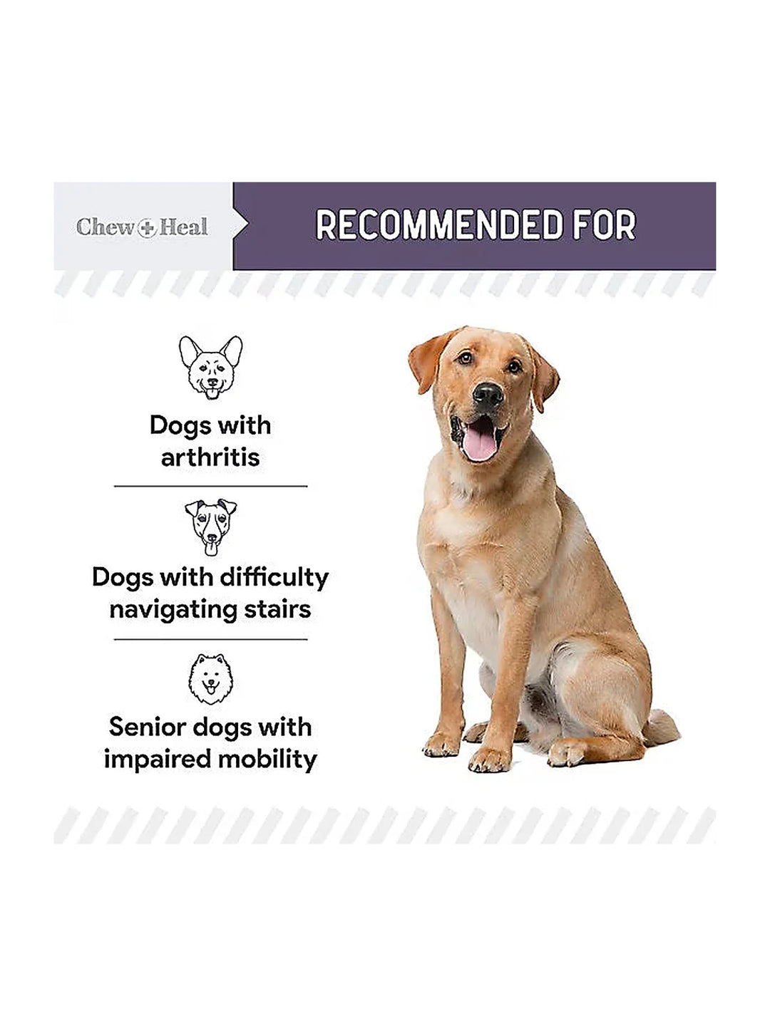 Chew + Heal Senior Mobility + Vitality Hip & Joint & Mood Support Chewable Tablets Supplement for Dogs, 120 count