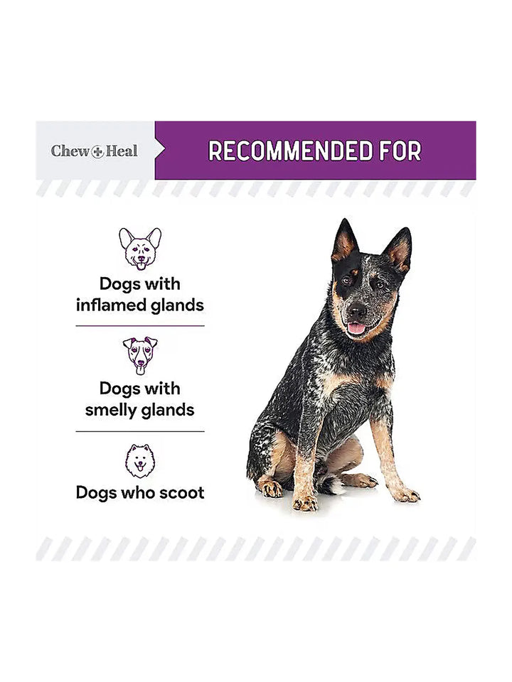 Chew + Heal Stop The Scoot Anal Glands Powder Supplement for Dogs- Powder