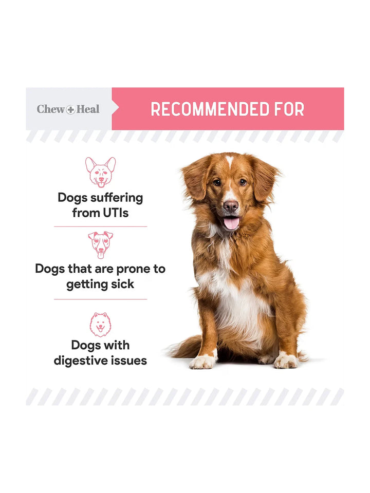 Chew + Heal Urinary + Kidney Tincture Supplement for Dogs, 2-fl oz bottle