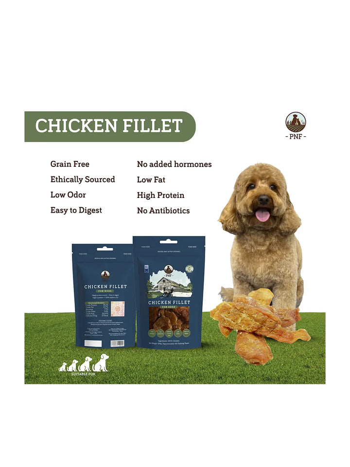Chicken Fillet 100g