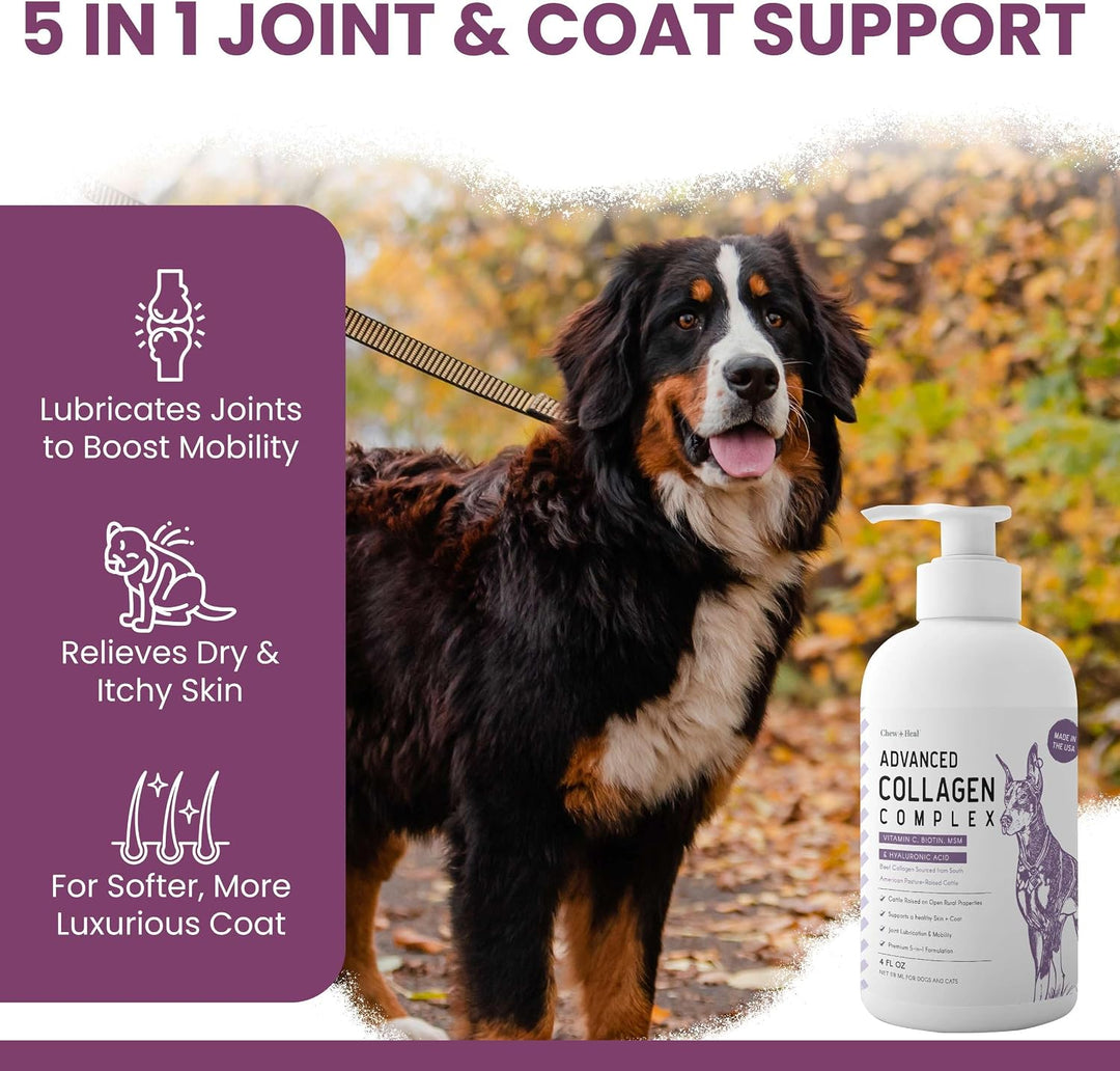 Liquid Collagen Supplement for Dogs – 4 oz Pump Bottle