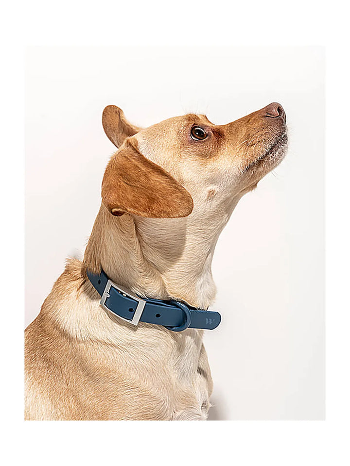 Collar