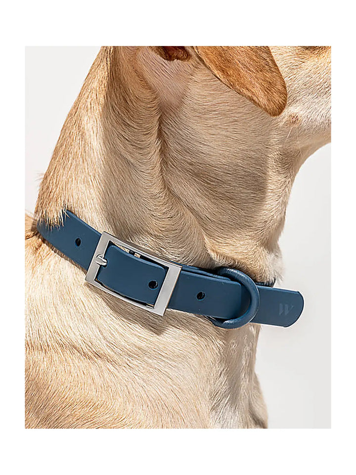 Collar