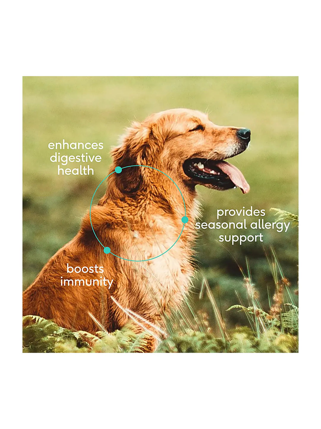 Colostrum - Bioactive support for vitality