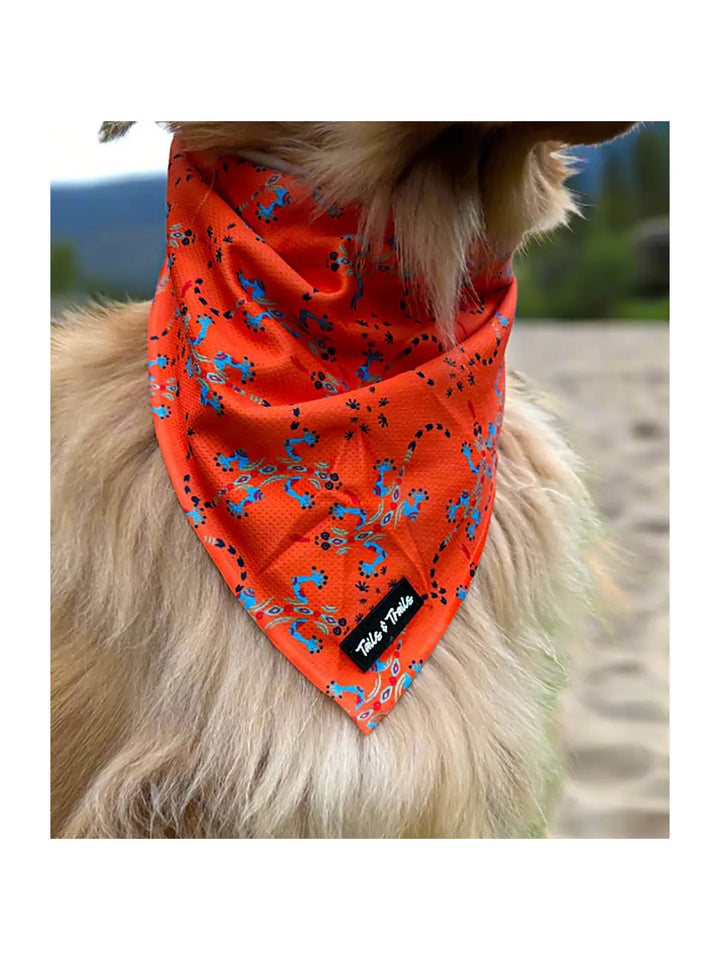 Cooling Dog Bandana