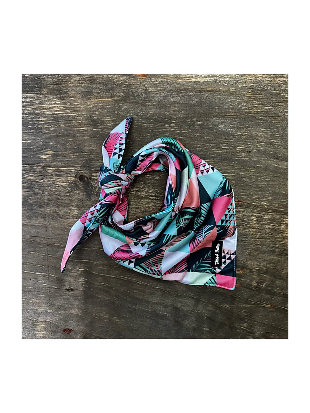 Cooling Dog Bandana
