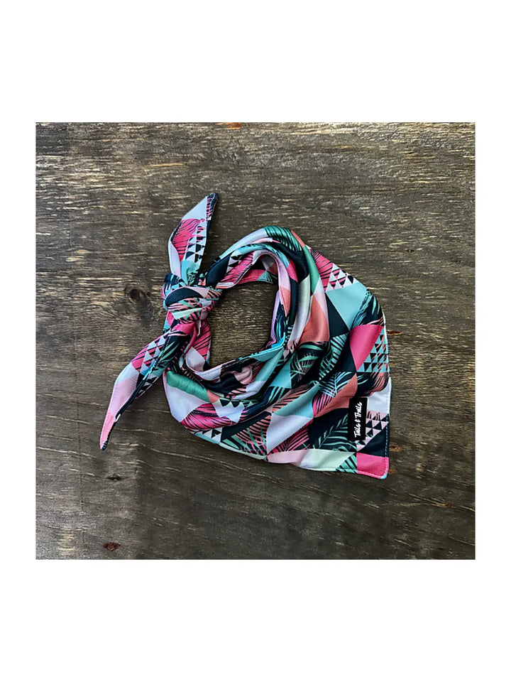 Cooling Dog Bandana