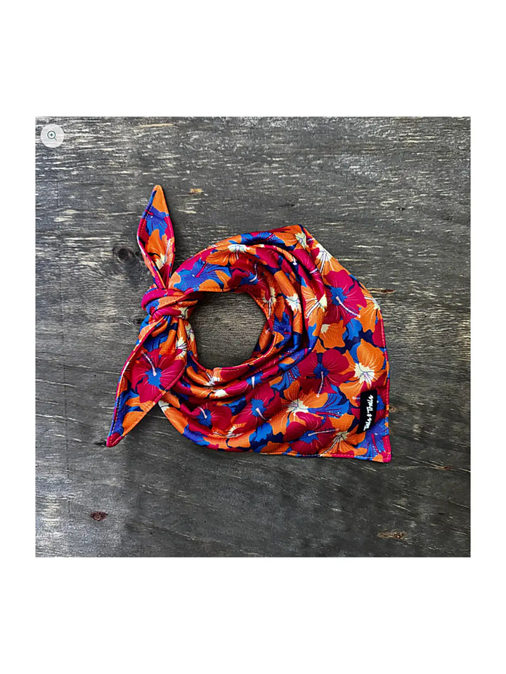 Cooling Dog Bandana