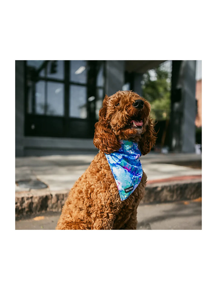 Cooling Dog Bandana