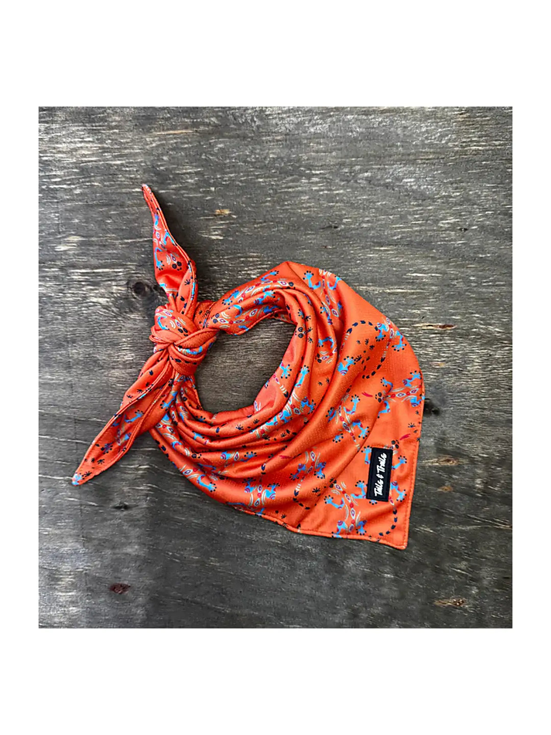 Cooling Dog Bandana