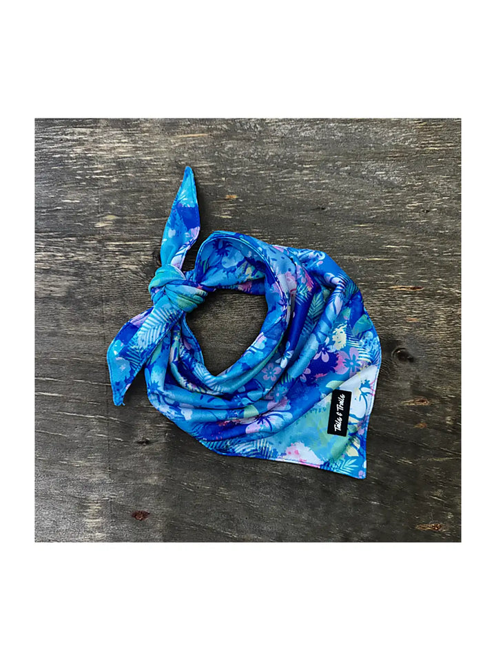 Cooling Dog Bandana