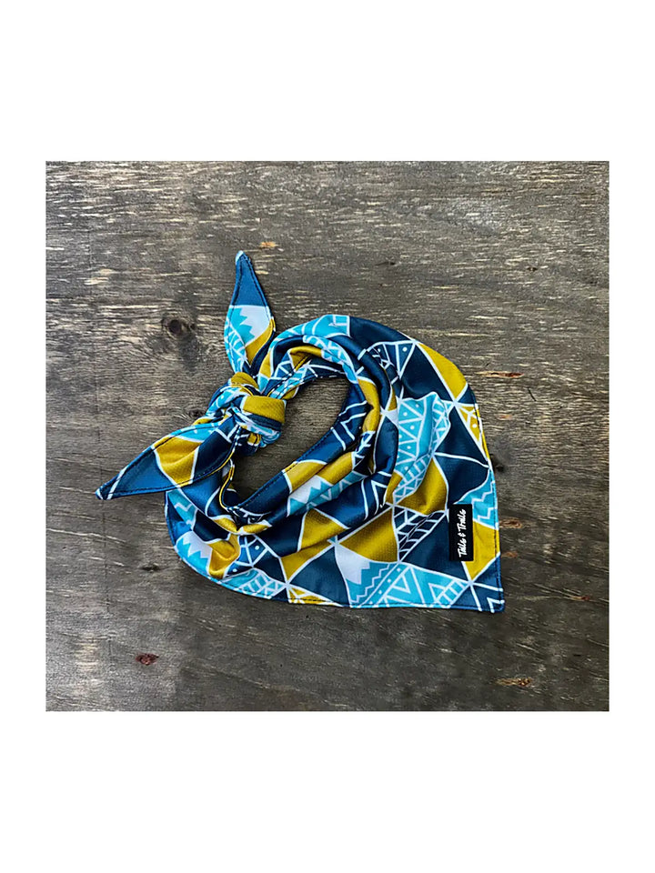 Cooling Dog Bandana