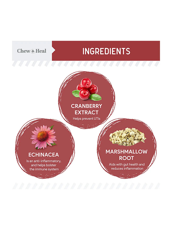 Cranberry Support Urinary Tract Supplement for Dogs