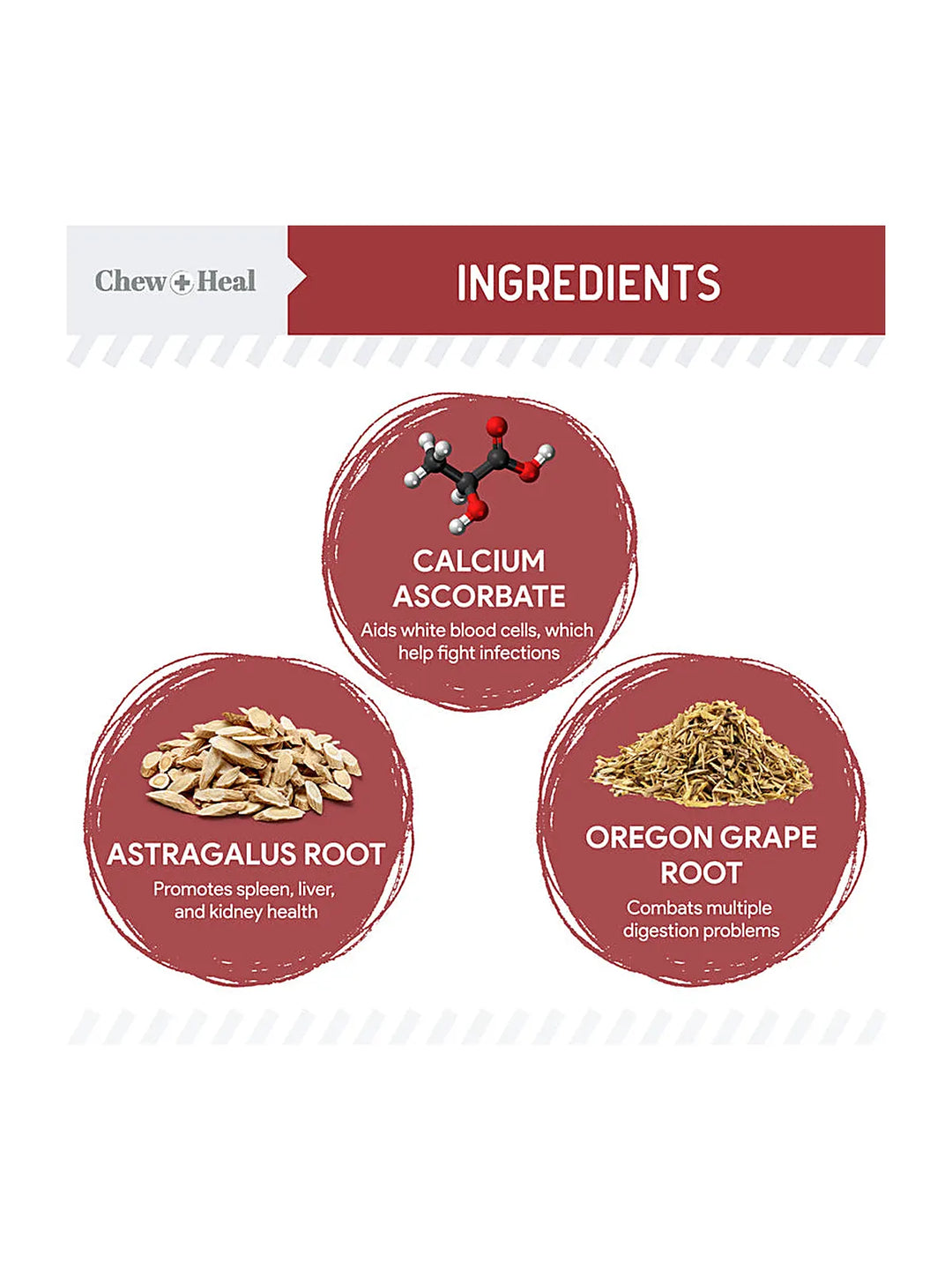 Cranberry Support Urinary Tract Supplement for Dogs