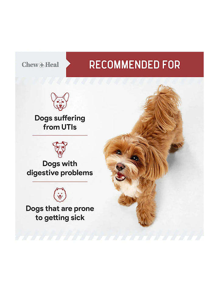Cranberry Support Urinary Tract Supplement for Dogs
