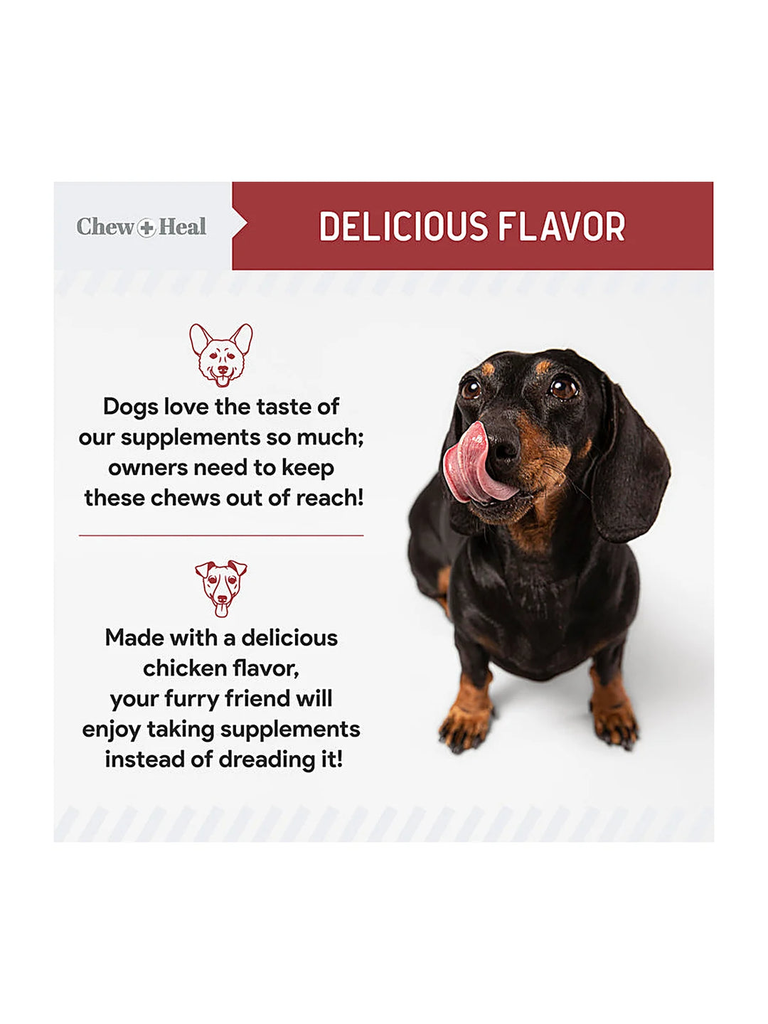 Cranberry Support Urinary Tract Supplement for Dogs