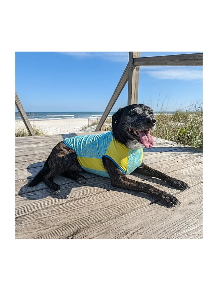Crystal Cool Pet Cooling Shirt - Blue