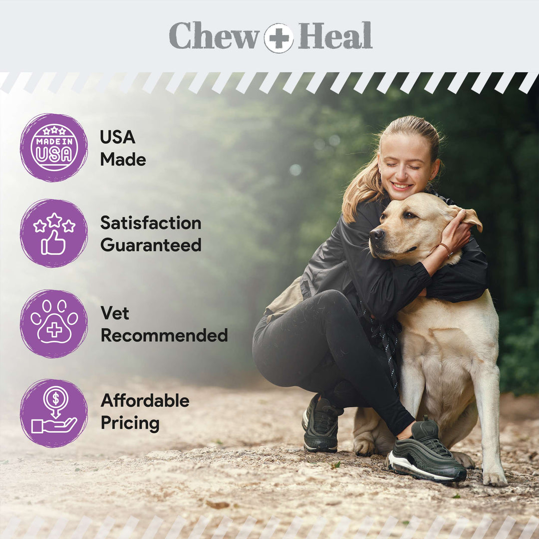 Milk Thistle Tincture with Moringa Oil & Salmon Oil Liquid Kidney & Liver Health Supplement for Dogs(2oz)