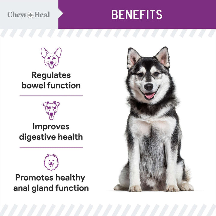 Stop the Scoot Anal Gland Support & Bowel Function Supplement for Dogs - Chews