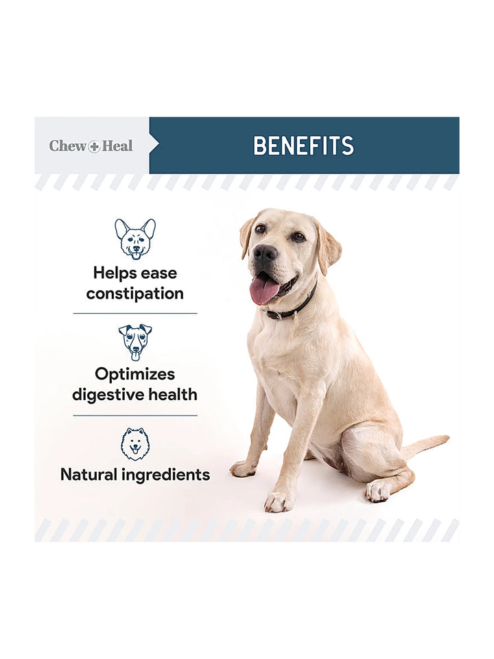 Digestive Enzymes & Probiotics Supplement for Dogs 120soft Chews