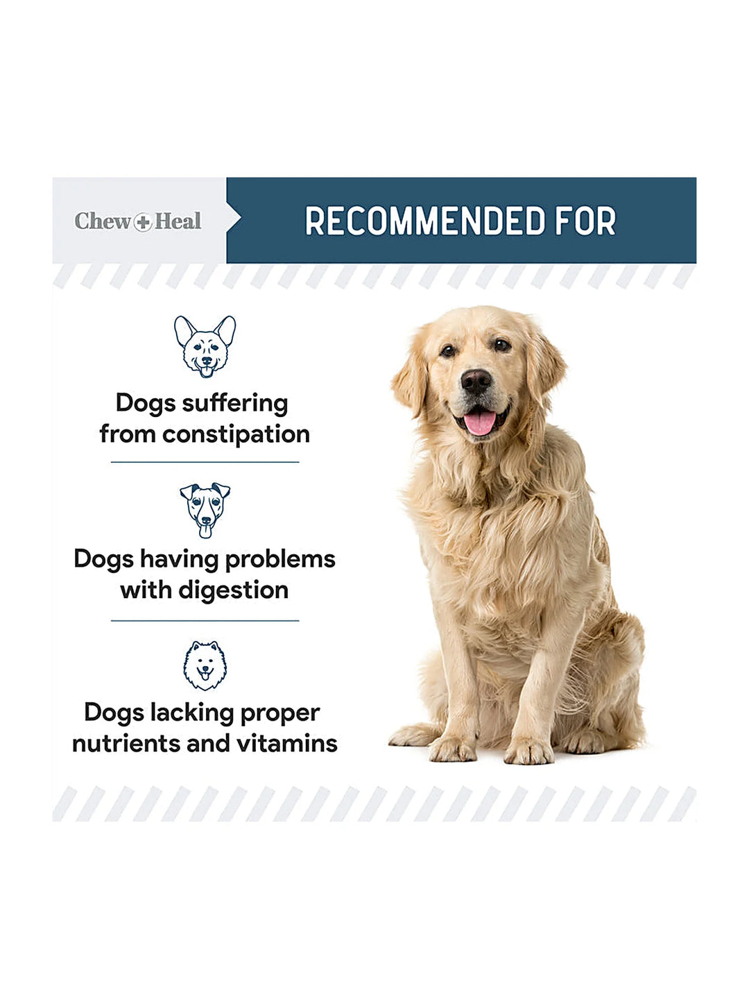Digestive Enzymes & Probiotics Supplement for Dogs 120soft Chews