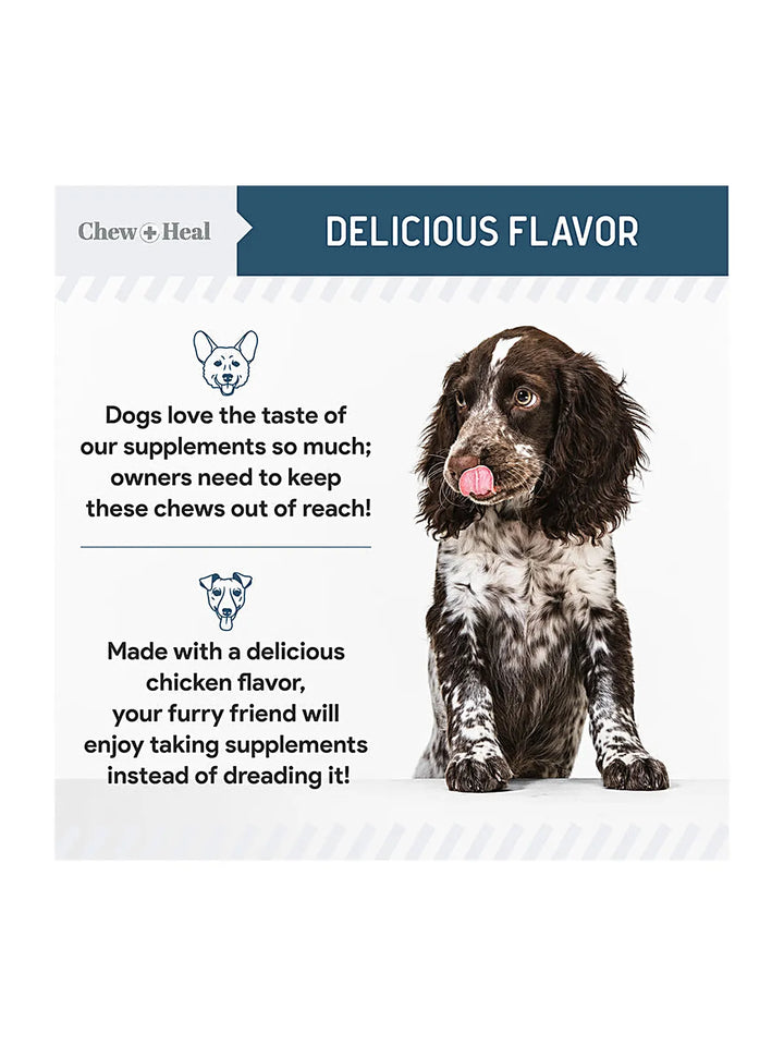 Digestive Enzymes & Probiotics Supplement for Dogs 120soft Chews