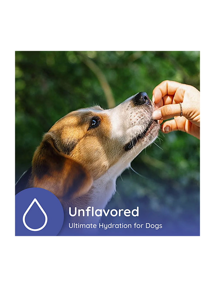 Dog Electrolyte and Joint Supplement, Unflavored