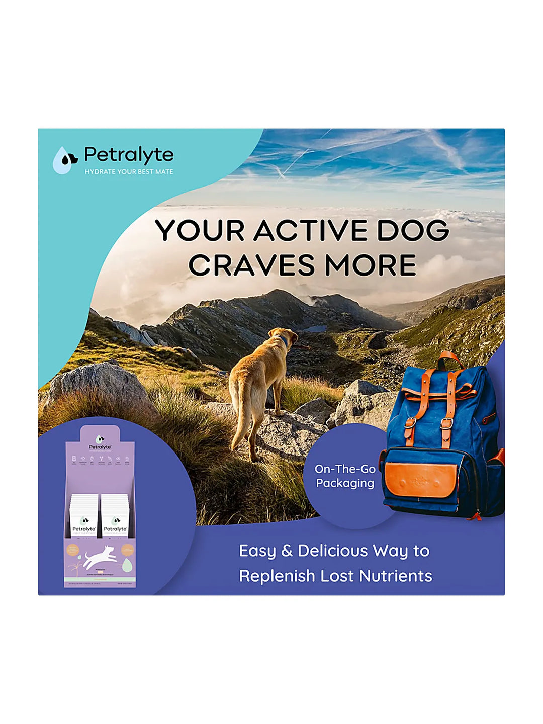Dog Electrolyte and Joint Supplement, Unflavored