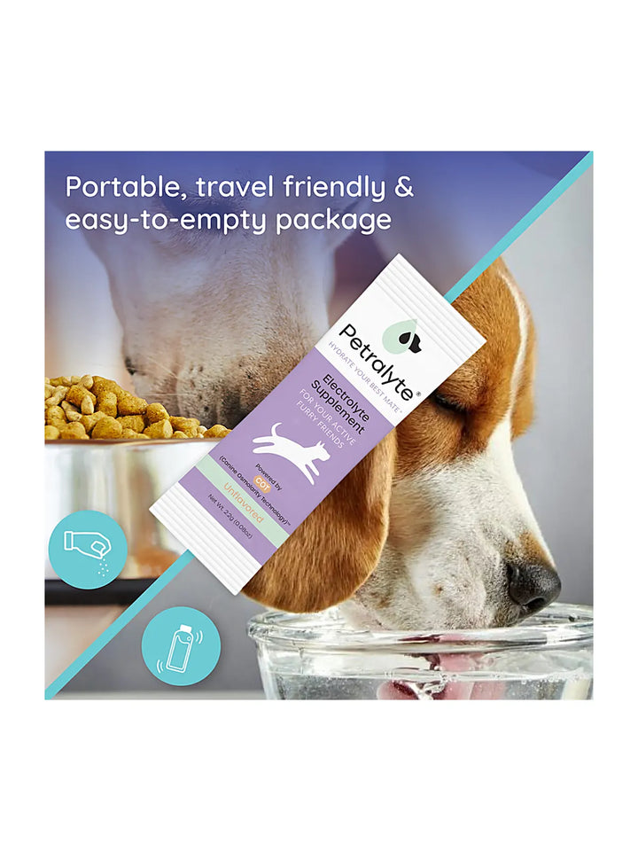 Dog Electrolyte and Joint Supplement, Unflavored