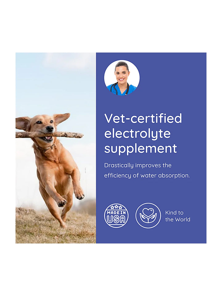 Dog Electrolyte and Joint Supplement, Unflavored