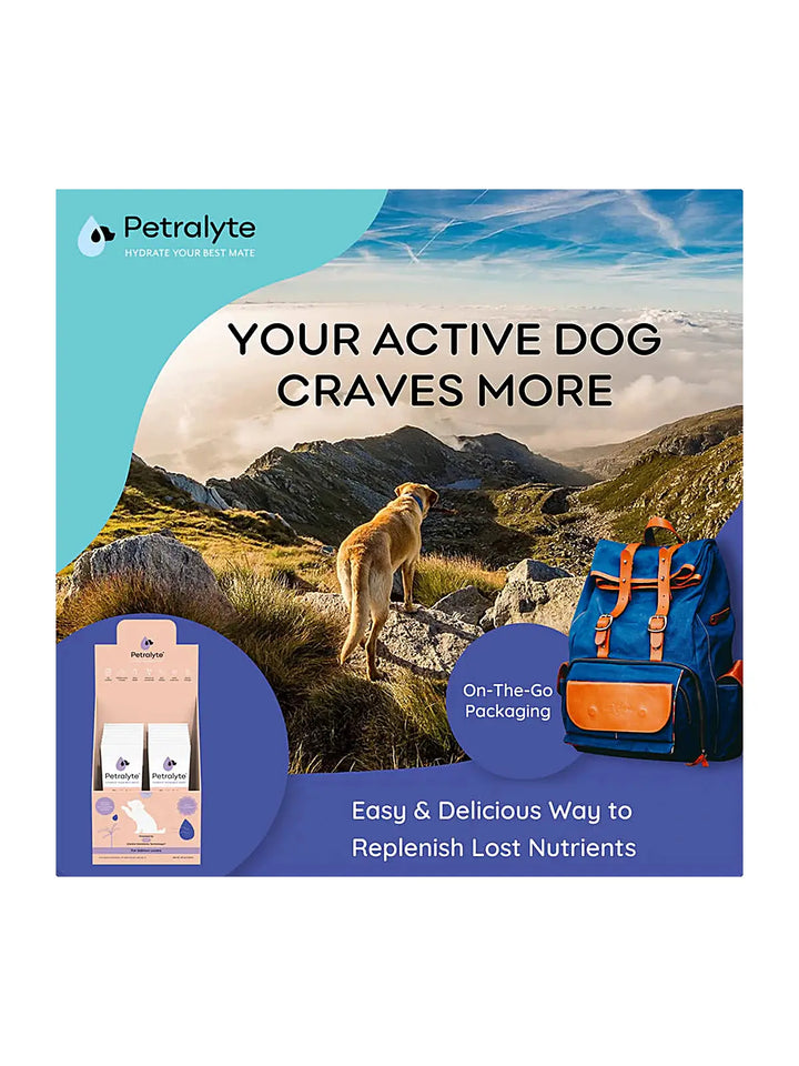 Dog Electrolyte and Joint Supplement, Salmon flavored.
