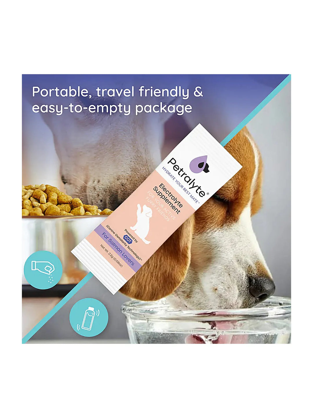 Dog Electrolyte and Joint Supplement, Salmon flavored.